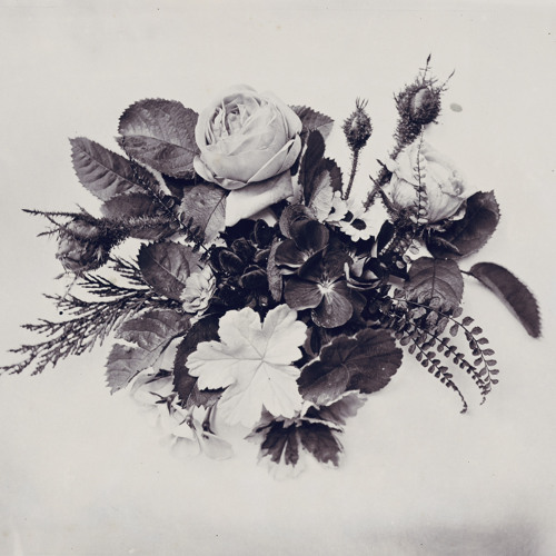 I Just Hope You Can Forgive Yourself (Interlude)