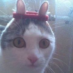 Bentayga - No Hook ft. GG249