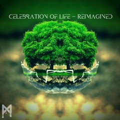 Mfinity - Celebration of Life (Reimagined)