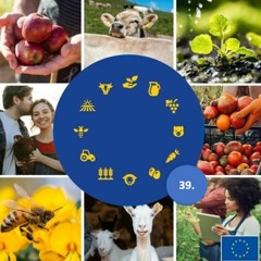 39. #Innovation and digitilisation: the solution for sustainable agriculture in Europe?