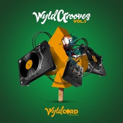 PREMIERE: Luke Davidson - Turn Me Up (Original Mix) [Wyldcard Records]