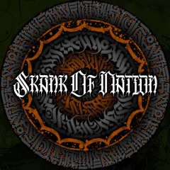 THE TARGET X DUB TRONICS