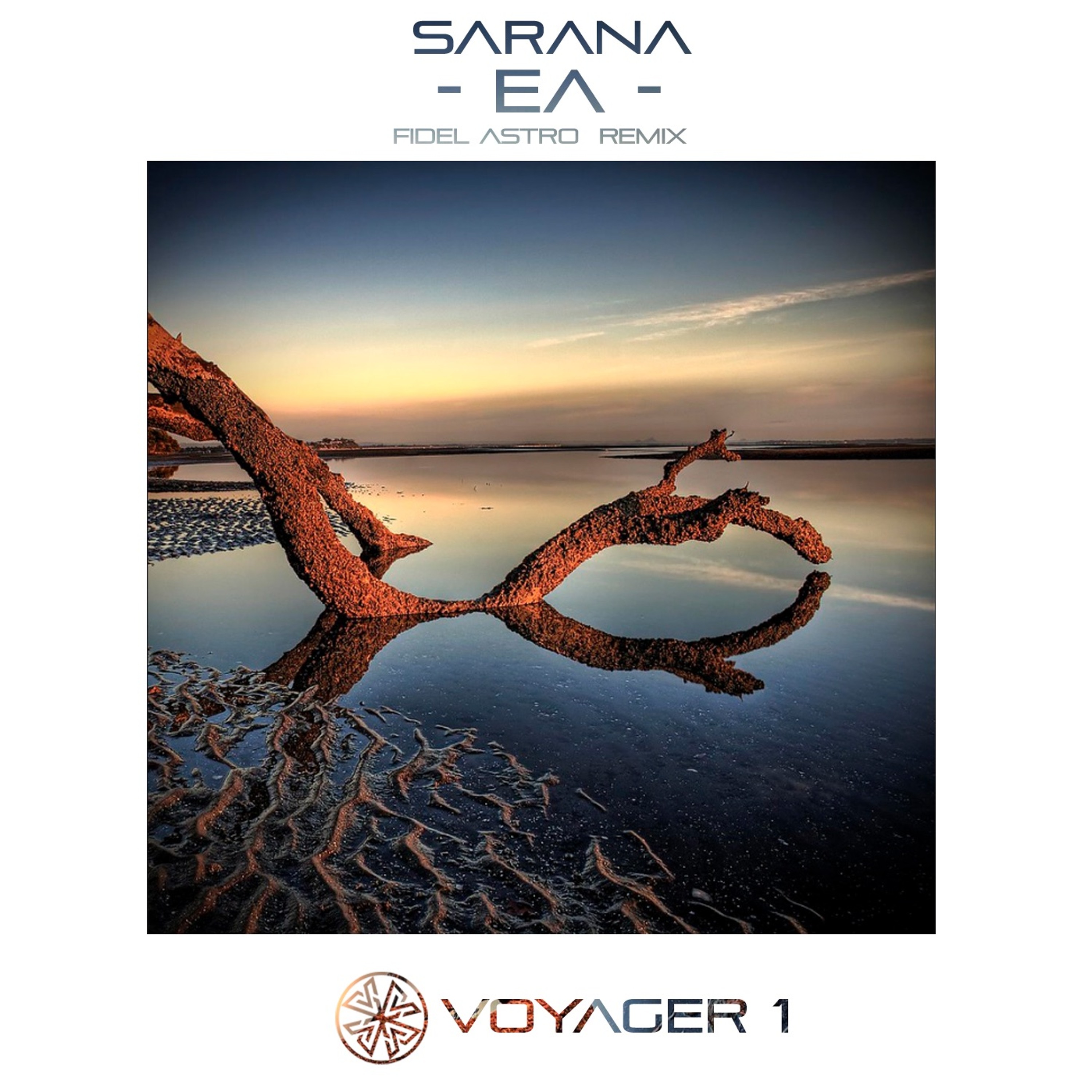 Ea (original mix)[Voyager 1] episode artwork