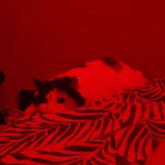 Cogito Ergo Sum - Combat Initation / with intro speech