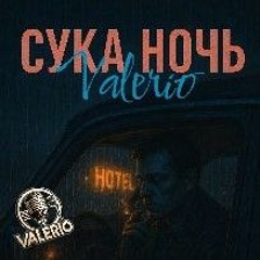 СУКА НОЧЬ