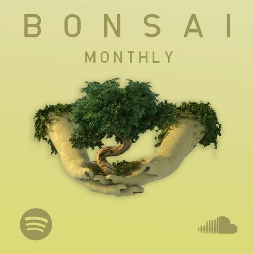 BONSAI Monthly (11)