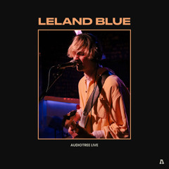 Lying to Myself (Audiotree Live Version)