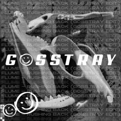 Flume - Rushing Back (GOSSTRAY Edit) FREE DL