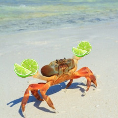Crab rave (GarageBand remix)