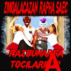 6.Zmoalăcazan _ Rapha Saec - o suta d ace standard
