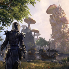 Morrowind: Vårsøg 3.3