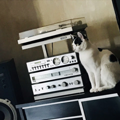 Gvancika - Me & My Cat