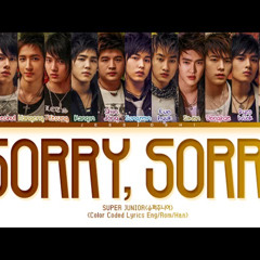 SORRY SORRY 2025 x NICKII REMAKE