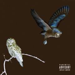 NIGHT SHIFT (feat. N!c)