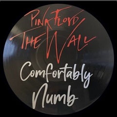 Pink Floyd - Comfortably Numb (Mauro Herbel Remix) FREE DOWNLOAD