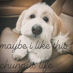 из ничего (p. moremilly, reiiwaaa)