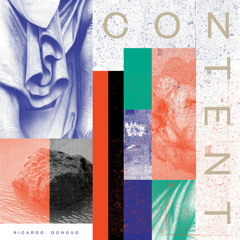 Ricardo Donoso - A Consensual Hallucination