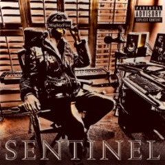Sentinel