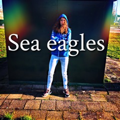 Sea eagles