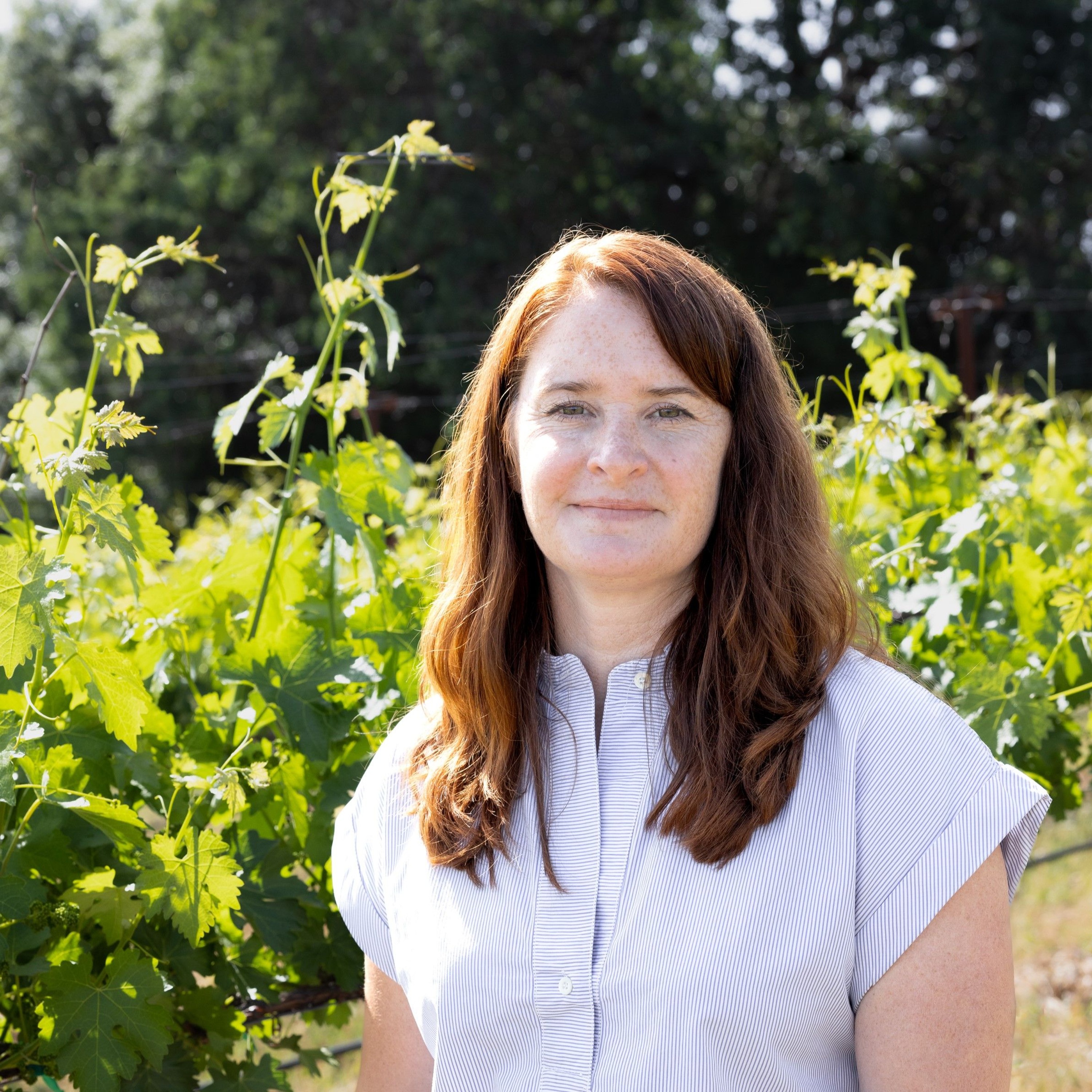 Episode 219 - Joy Merrilees, Shannon Family of Wines episode artwork