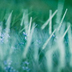 Mora Alfmarsson & Joseph Crime - A Quiet Moment