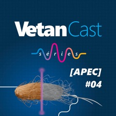 Colibacilose aviária: como enfrentar esse problema | Benito Guimarães de Brito