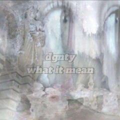 dgnty - what it mean [prod.wiley x zachmadethis]