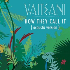 Vaiteani - How They Call It ( ツai スemix )