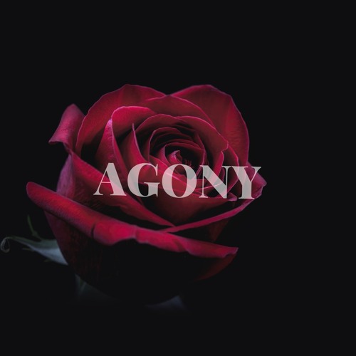 Agony(prod.andyr)