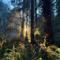 Plural are my Problems