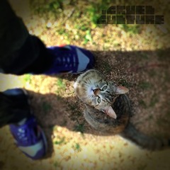 catatac