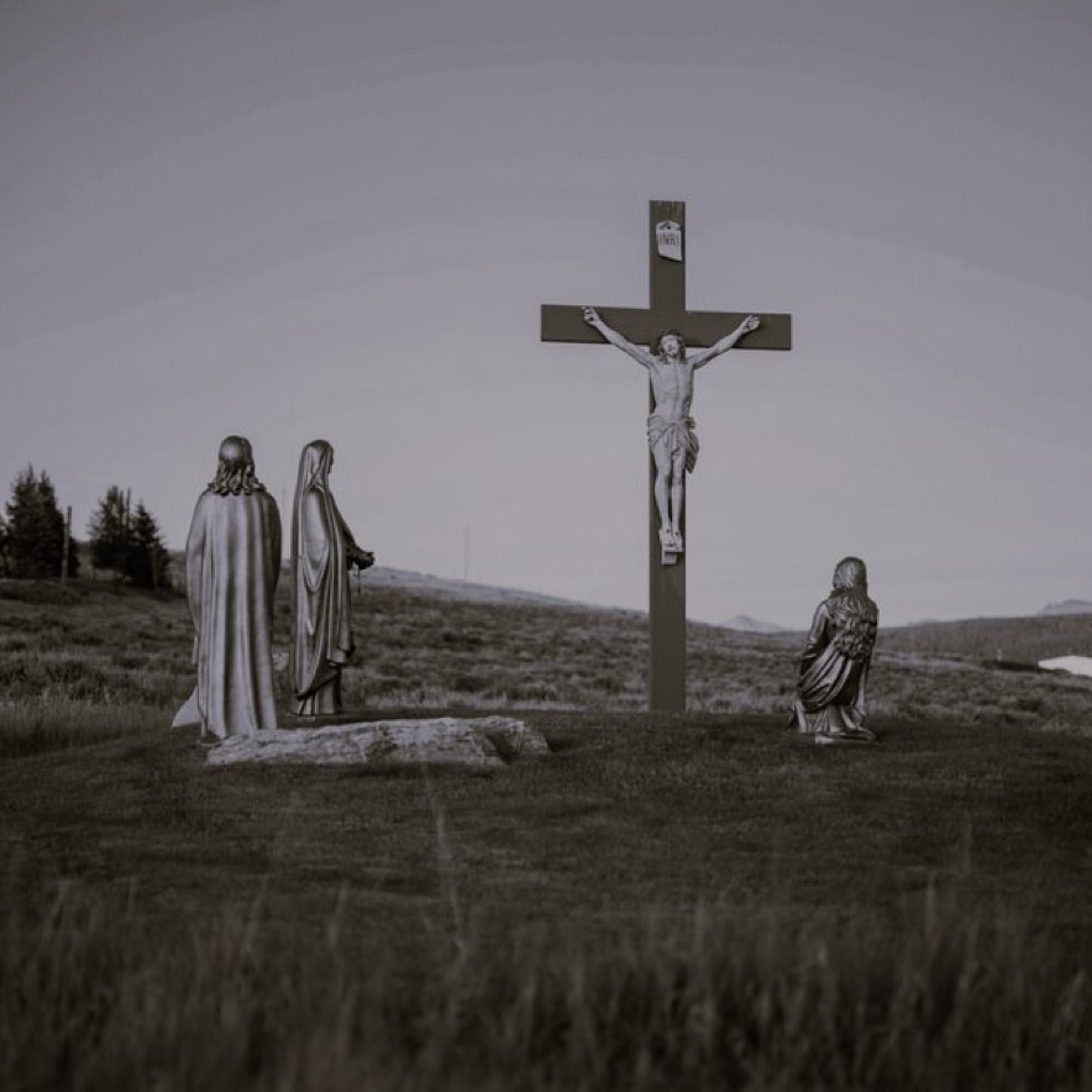 PETER’S BROKEN HEART - Homily Palm Sunday of the Passion of the Lord - March 24, 2024 episode artwork