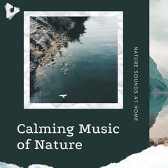 Calm Rivers