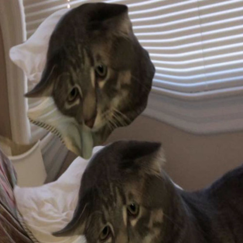 An Echo Of Yourself