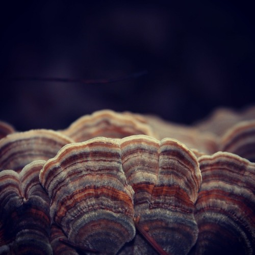 Deep Breakfast 063 - Hilyard