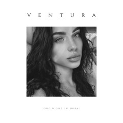 Arash, Helena - One Night in Dubai (V E N T U R A remix)