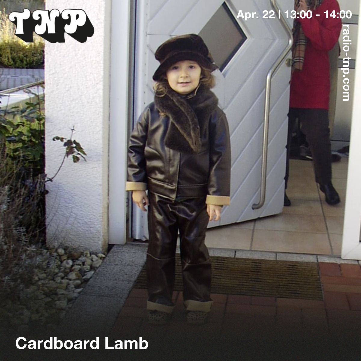 Cardboard Lamb