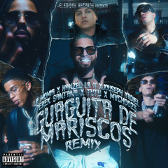 Guagüita De Mariscos - Remix (feat. Jouseph Yadiel & Derek Santana)