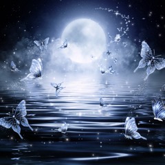 DREAMING MELODY
