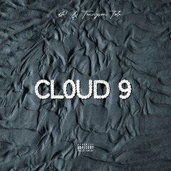Cl0ud 9 (remix) - Tennyson Tole(feat. dk!)