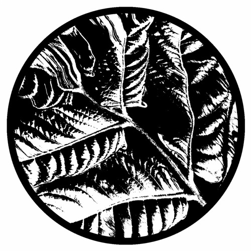 VA - Ancient Echoes EP [SP004] 12"