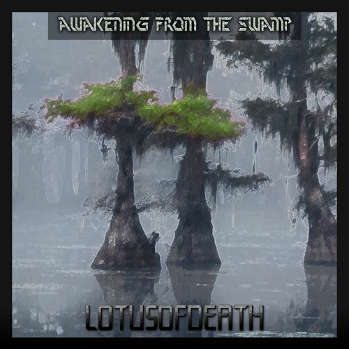 Awakening from the Swamp (FREE DOWNLOAD)