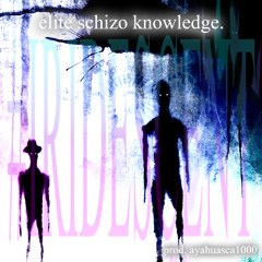 elite schizo knowledge. ⛧ [prod. ayahuasca1000] #IRIDESCENT