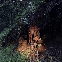 11.22.25_junkcollector(unfinishedemo).wav