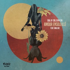 Premiere | Soul Of Zoo, SEVN (CA) | Amour Ensoleillé Feat. Walead (Extended mix) [Frooogs Records]