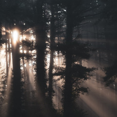 bXnks - Fade Through Me