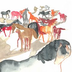 Jeune Turc Caressant Son Cheval