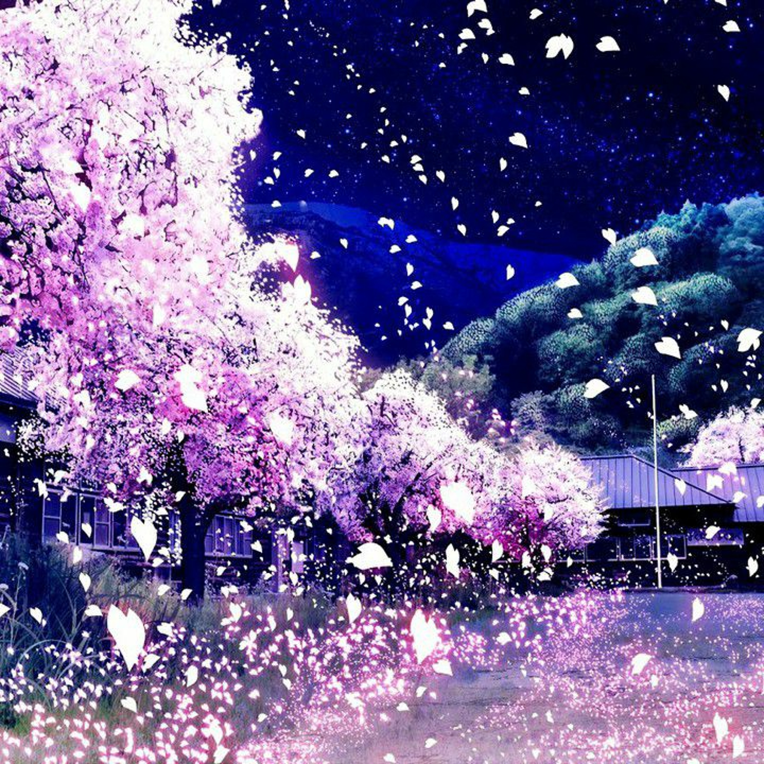 When Ever episode artwork