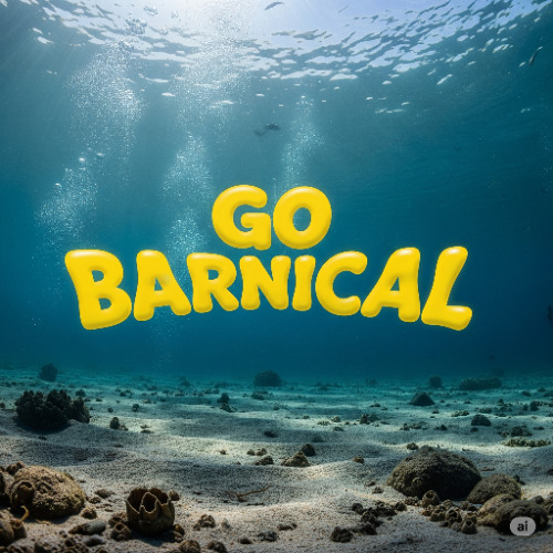 GO BARNICAL