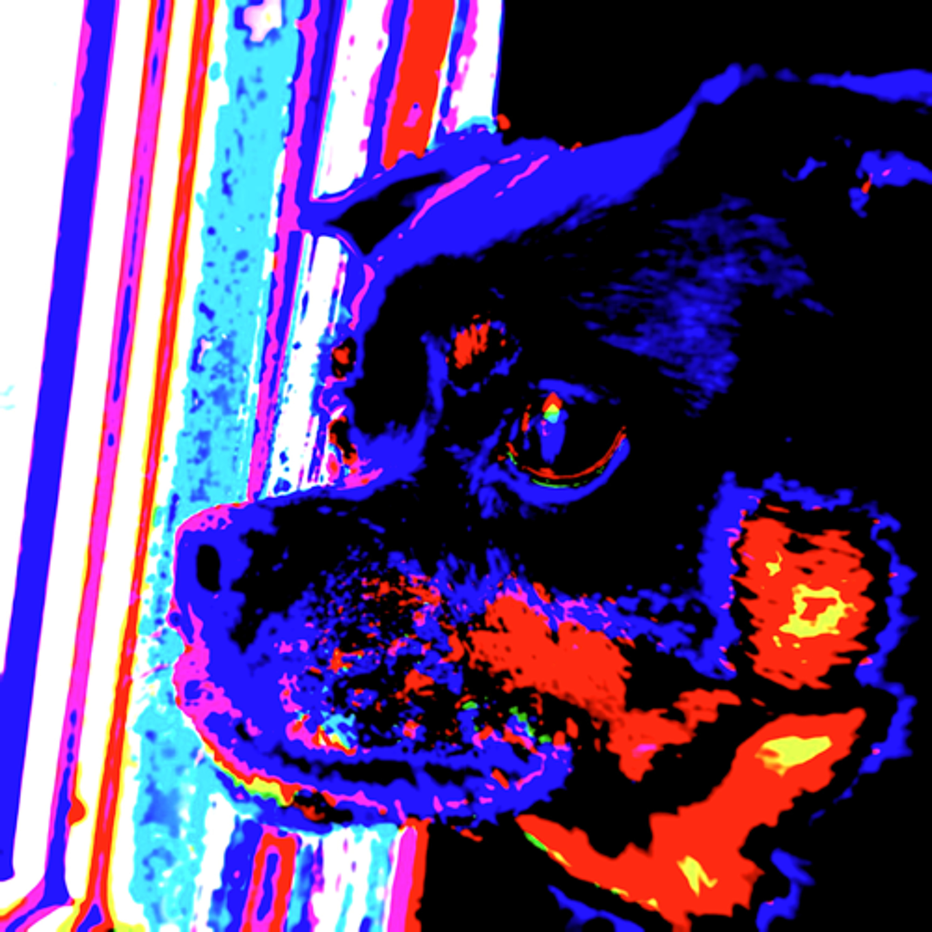 SQUIRRLE Deep Ambiant episode artwork